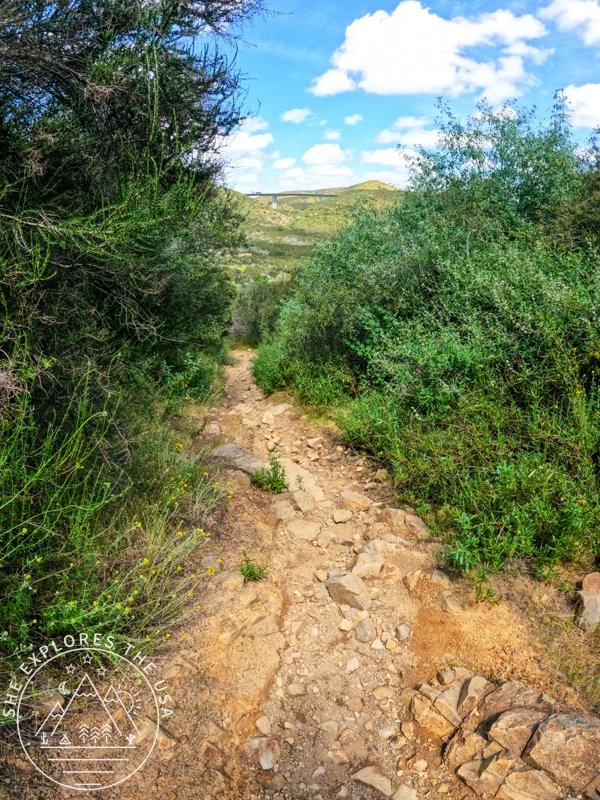on way back down to trailhead