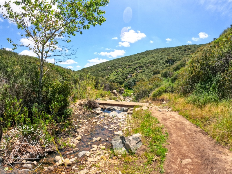 pretty river views in mission trails