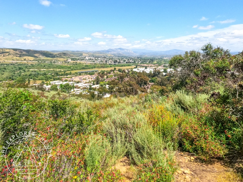 view from the trail