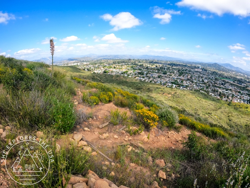 view on way up to Cowles