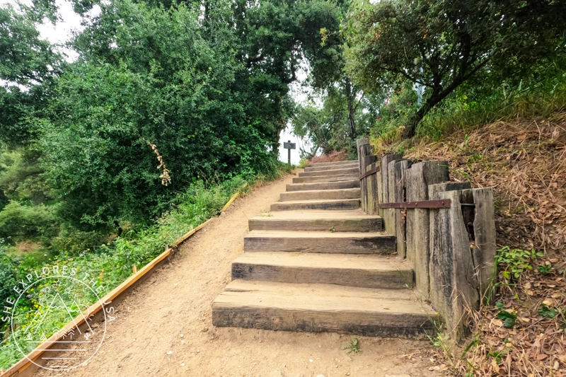 Mt wilson start
