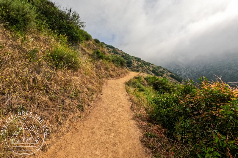 Mt Wilson in the clouds
