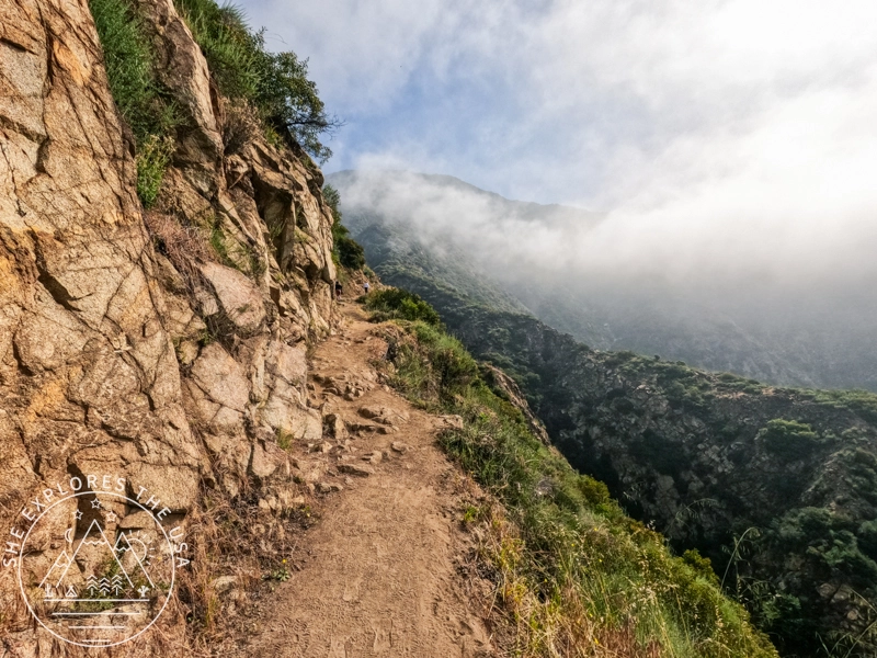Mt Wilson trail