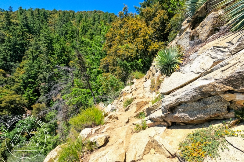 rock scramble to Mt Wilson