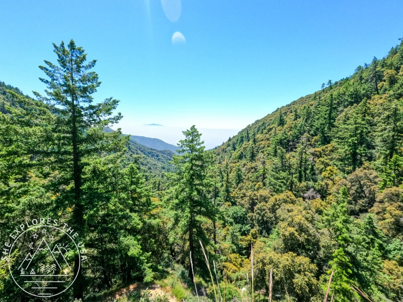 Views on the way to Mt Wilson
