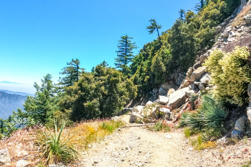rock fall on the trail