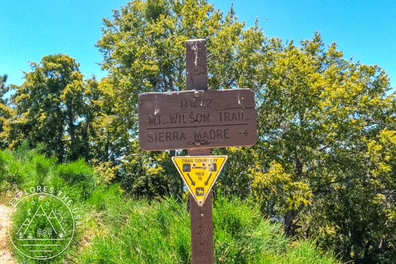 Mt Wilson Trailhead at the summit