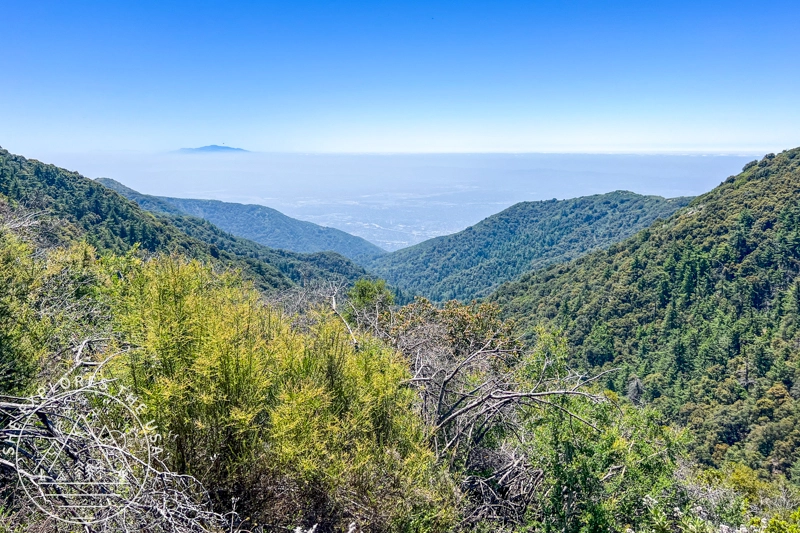 Mt Wilson views