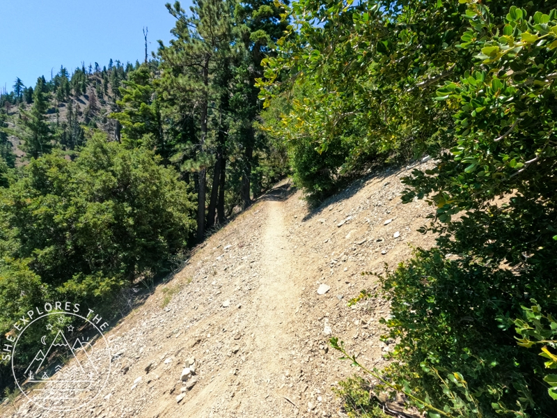 PCT to Baden Powell 7