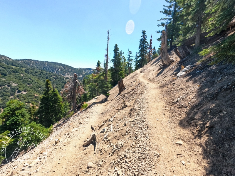 PCT to Baden Powell