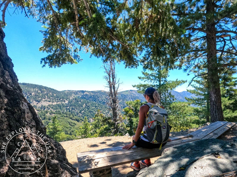 bench at mile 1