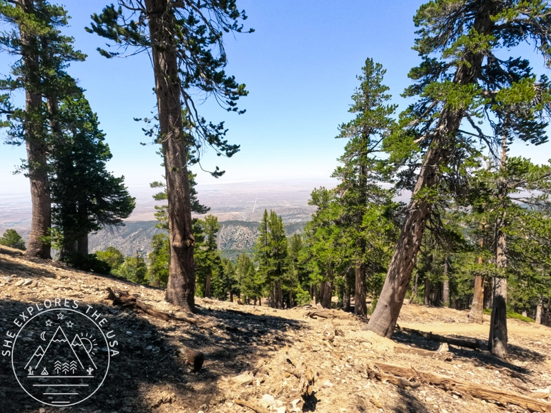views on PCT to Baden Powell