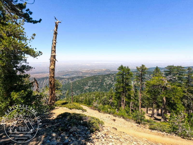 more views on PCT to Baden Powell