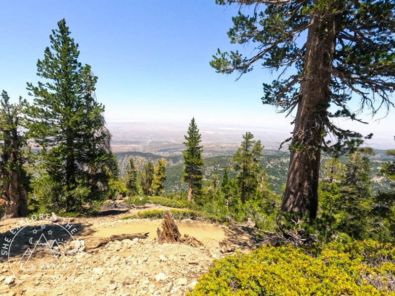 PCT to Baden Powell 1
