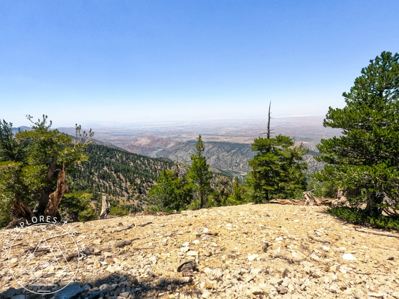 PCT to Baden Powell 2
