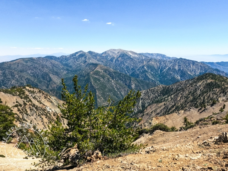 PCT to Baden Powell 4