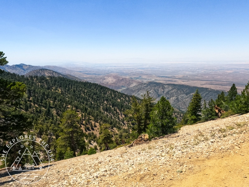 PCT to Baden Powell 5