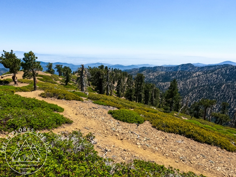 Mt Baden Powell summit views