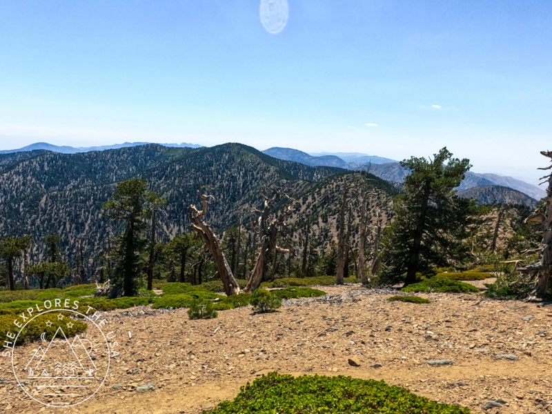 Mt Baden Powell summit monument 2