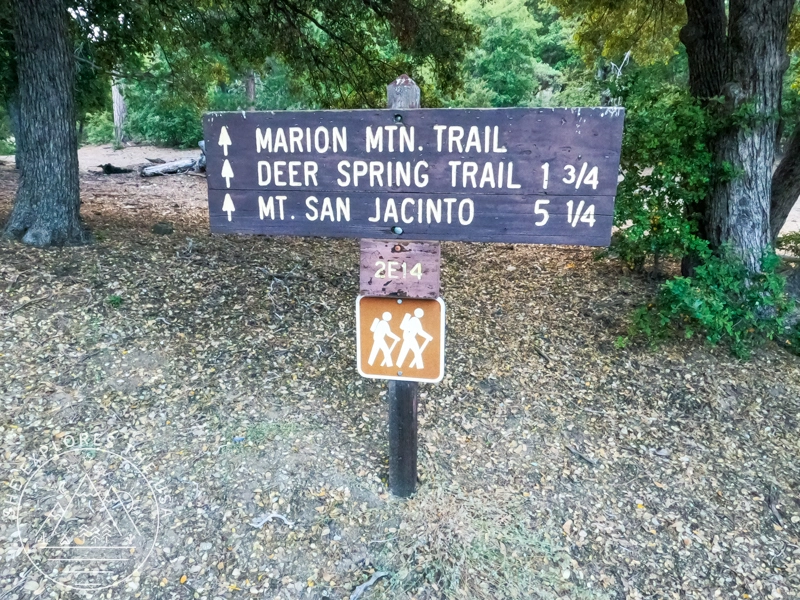 Marion Mountain trailhead to San Jacinto Peak