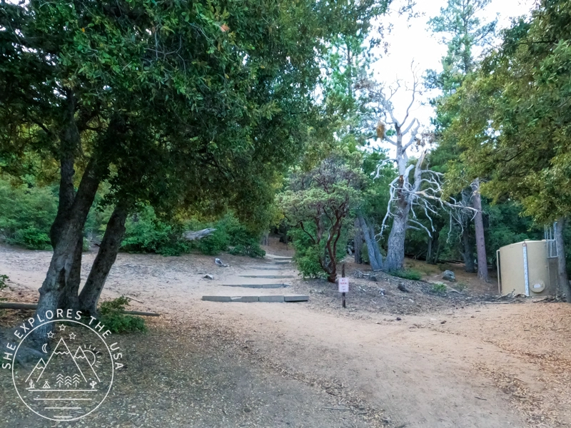 Marion Mountain trailhead to San Jacinto Peak 2