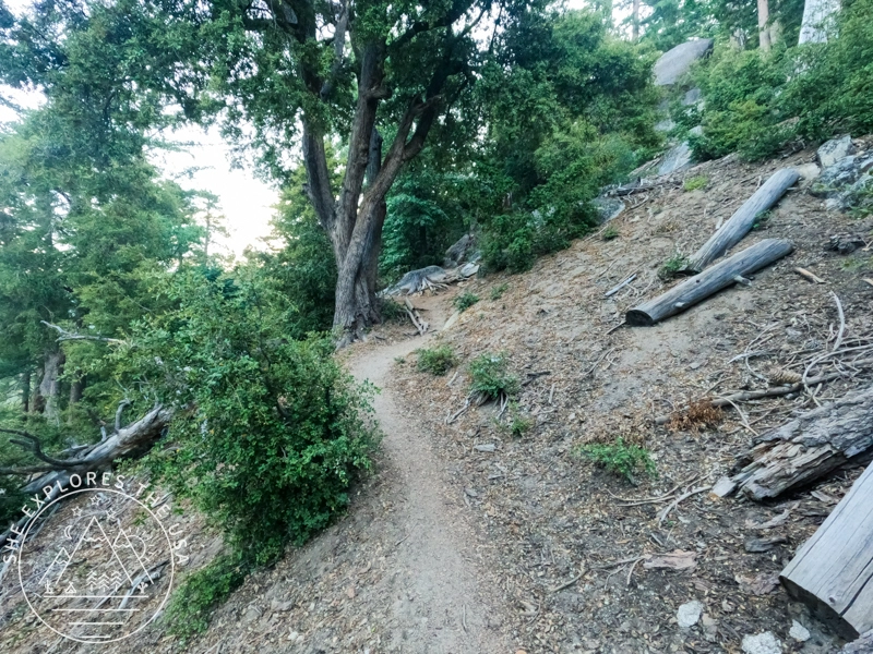 Marion Mountain trail