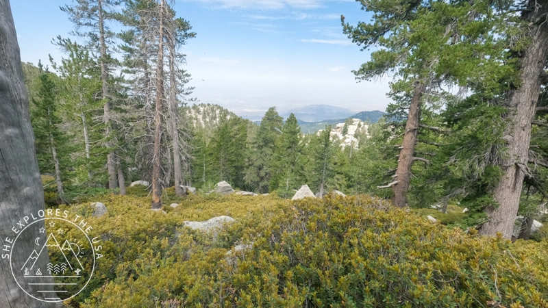scenic views 3