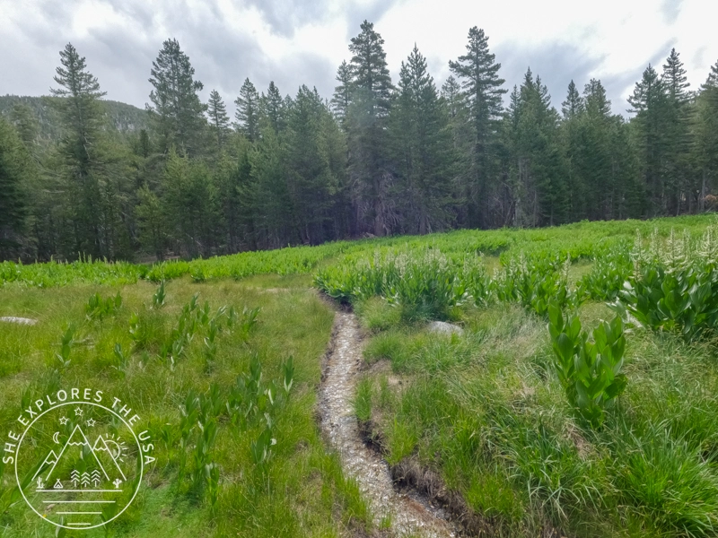river flowing through little round valley