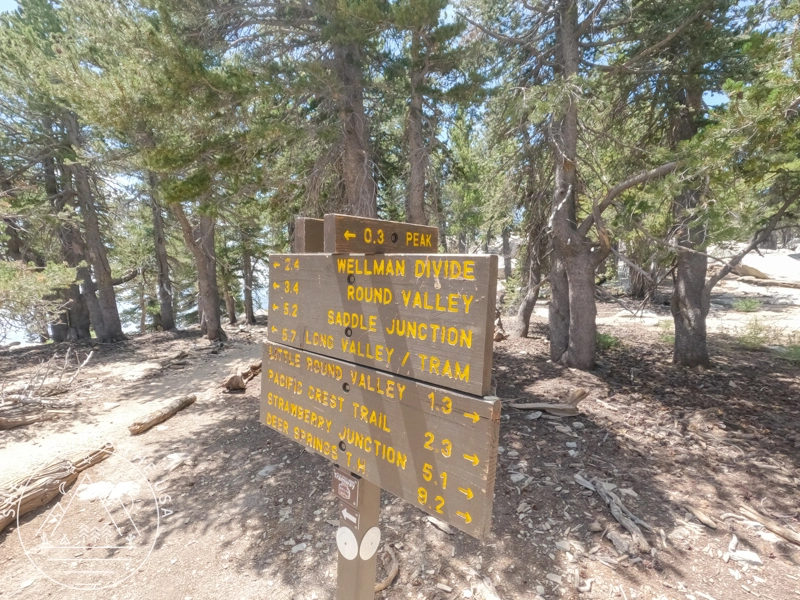 saddle junction sign
