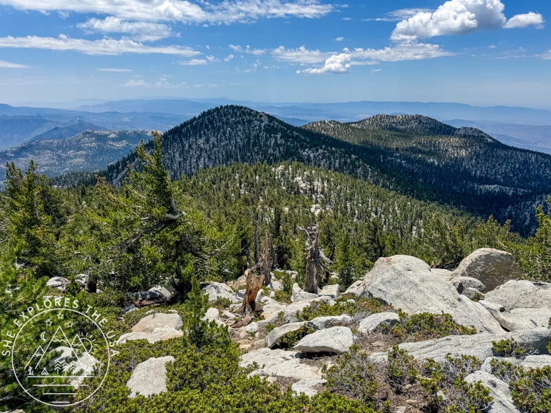 view from the San Jacinto summit 4