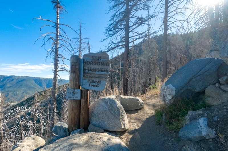 San Gorgonio wilderness