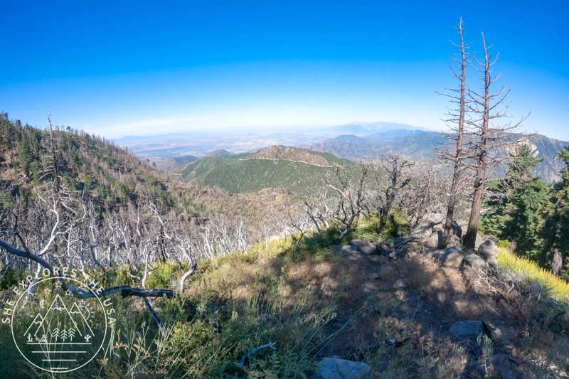 San Gorgonio wilderness views