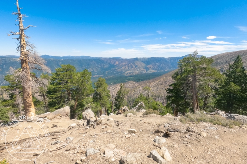 view from Limber Pine Bench Camp