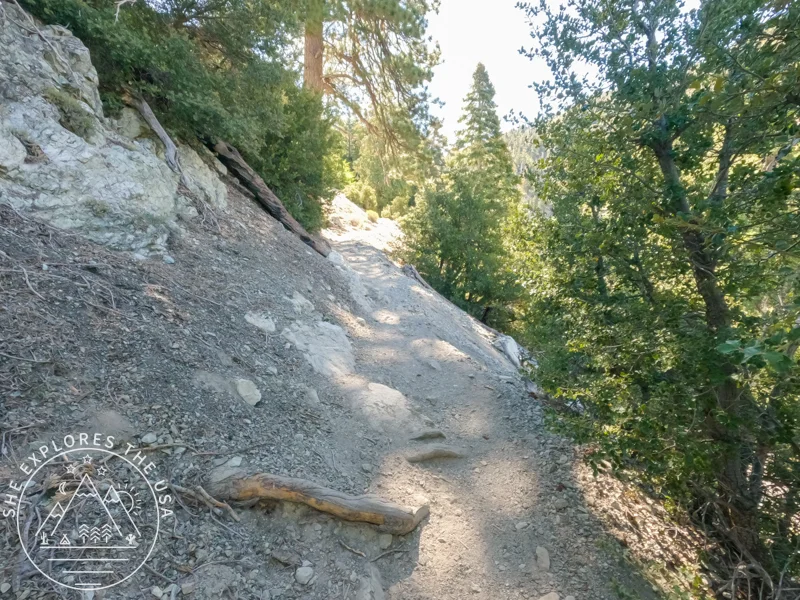 ice house canyon trail 1