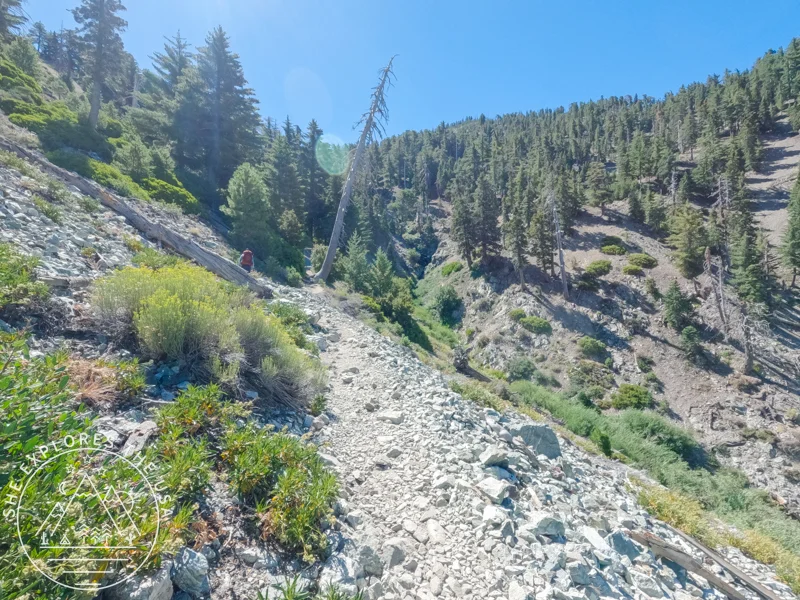 ice house canyon trail scenic view