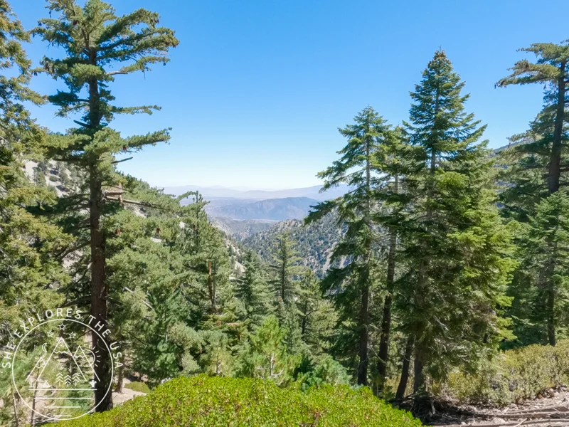 desert views from cucamonga trail