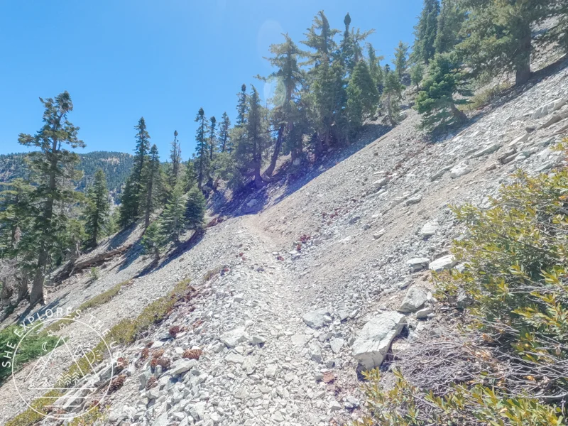 ice house canyon trail - rocky