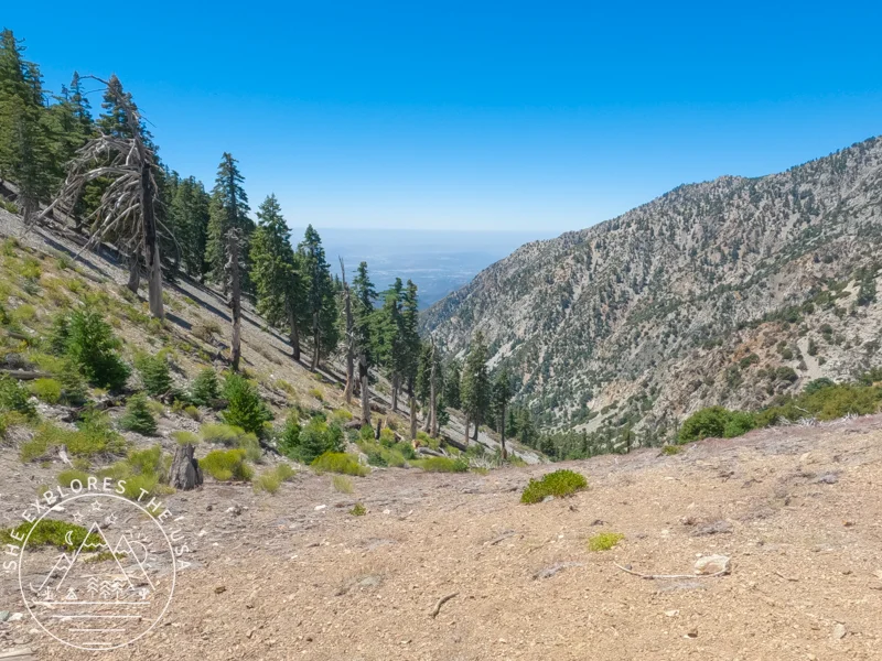 ice house canyon trail views