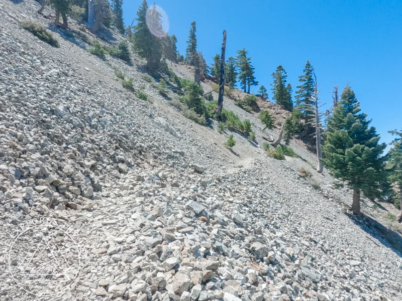 cucamonga peak trail rocky section