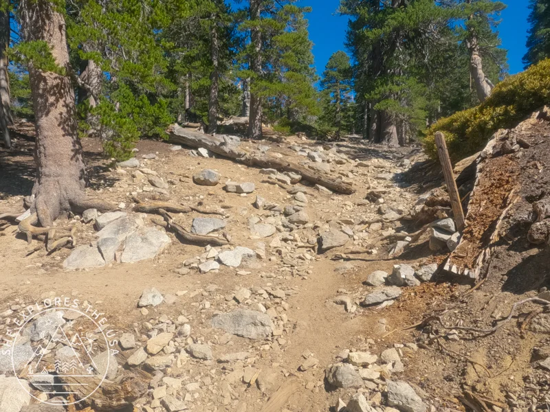 this is the shortcut you want to take