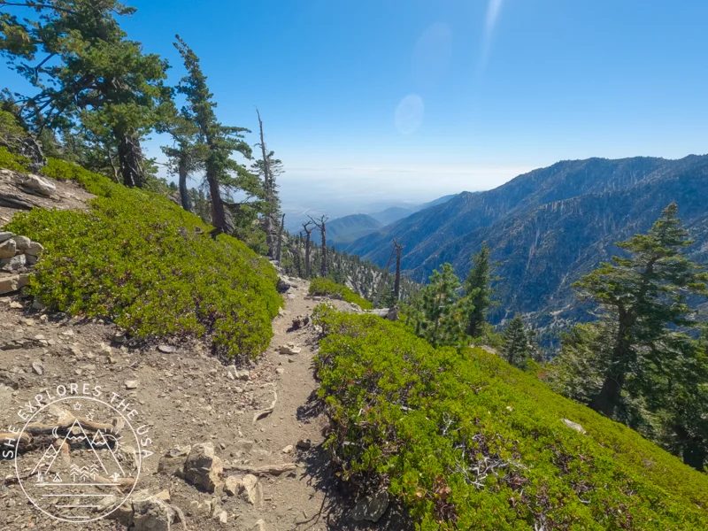 cucamonga peak trail views on way back down