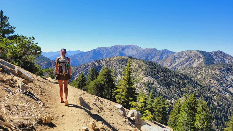 Cucamonga Peak Hike via Icehouse Canyon Trail Guide
