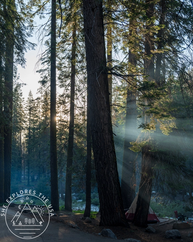Lodgepole Campground 2