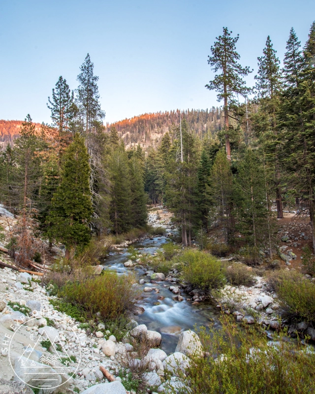 Lodgepole Campground 3