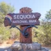 Sequoia National Park