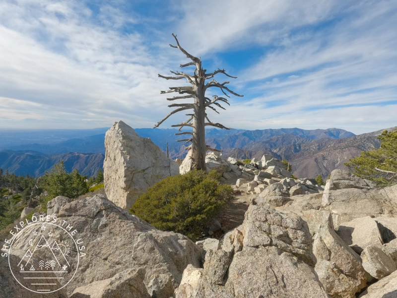 Ontario Peak summit 4