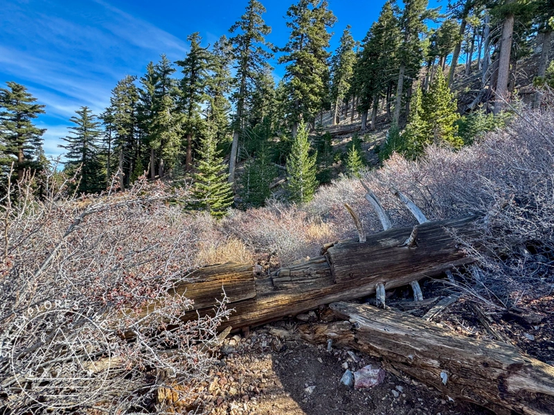 Ontario Peak trail 2