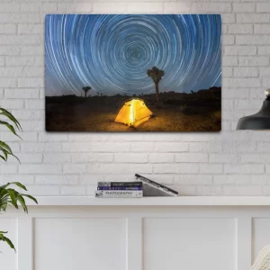 Joshua Tree Metal Print