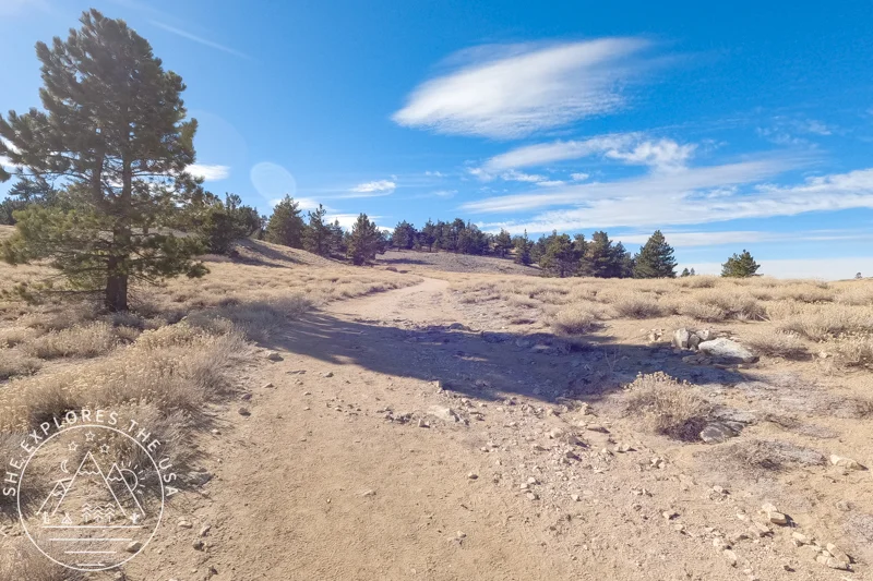 Condor Summit Trail 2