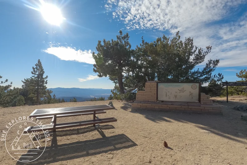 Mount Pinos Condor Observation site